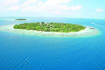 горящий тур на Мальдивы BANDOS ISLAND RESORT 5 